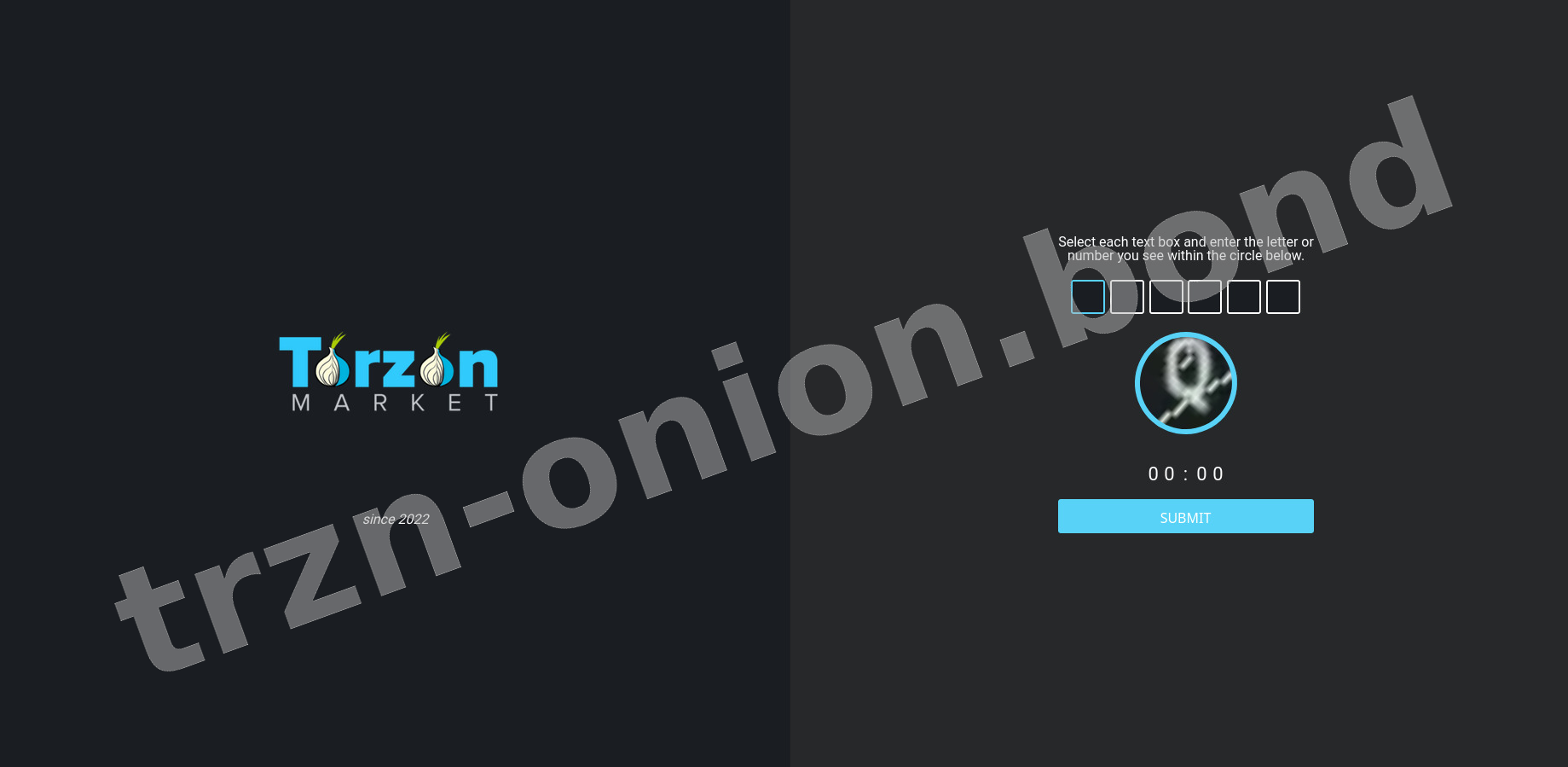 DDoS Protection Screen